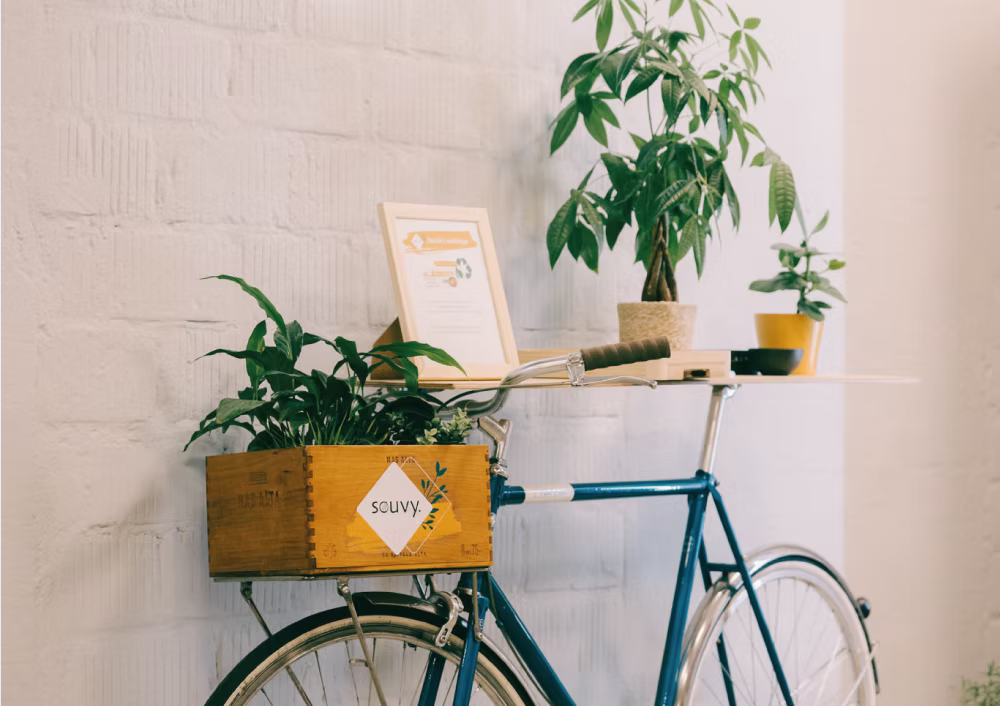 Souvy Fahrrad mit gepflanzter Holzkiste
